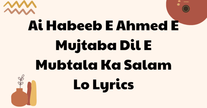Ai Habeeb E Ahmed E Mujtaba Dil E Mubtala Ka Salam Lo Lyrics