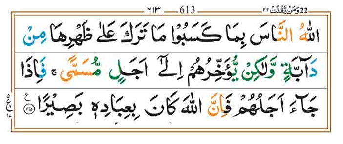 Surah Fatir