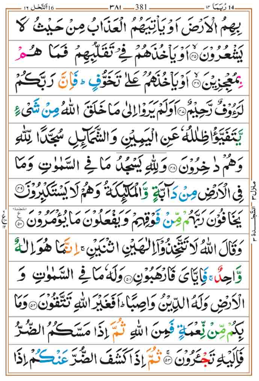 Surah Nahl