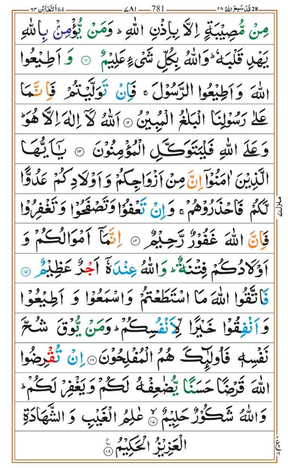 Surah Taghabun